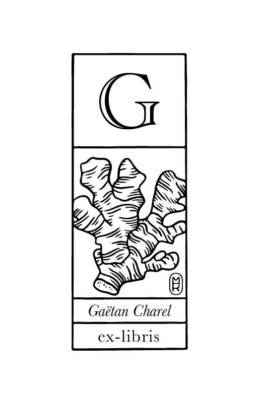 Débardeur Ginger G En Polyester - Taille M, Multicolore, Sans Manches - Occasion Très Bon état