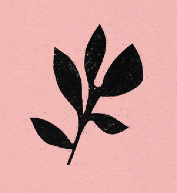 Plante