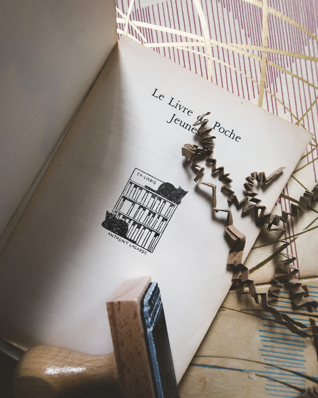 2 chats et une bibliothèque