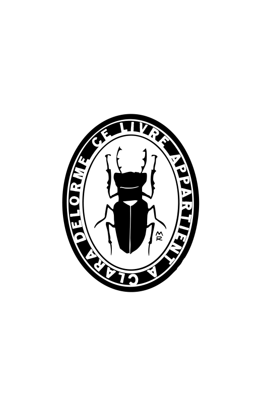 Cabinet de Curiosités — Le Coléoptère N°2
