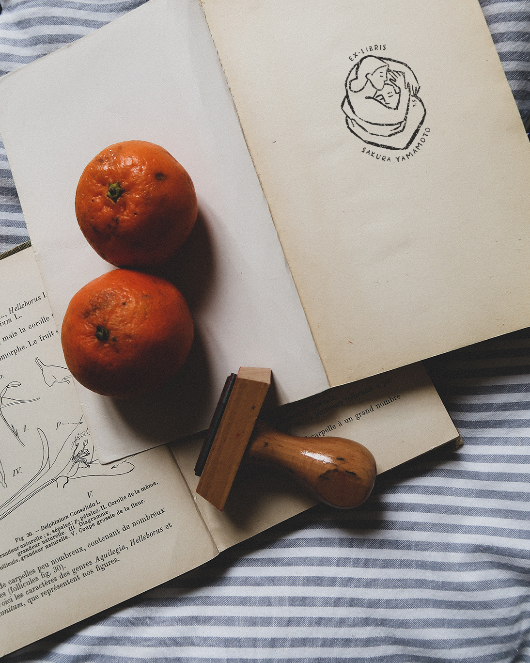 Dans les Bras (tome 2)