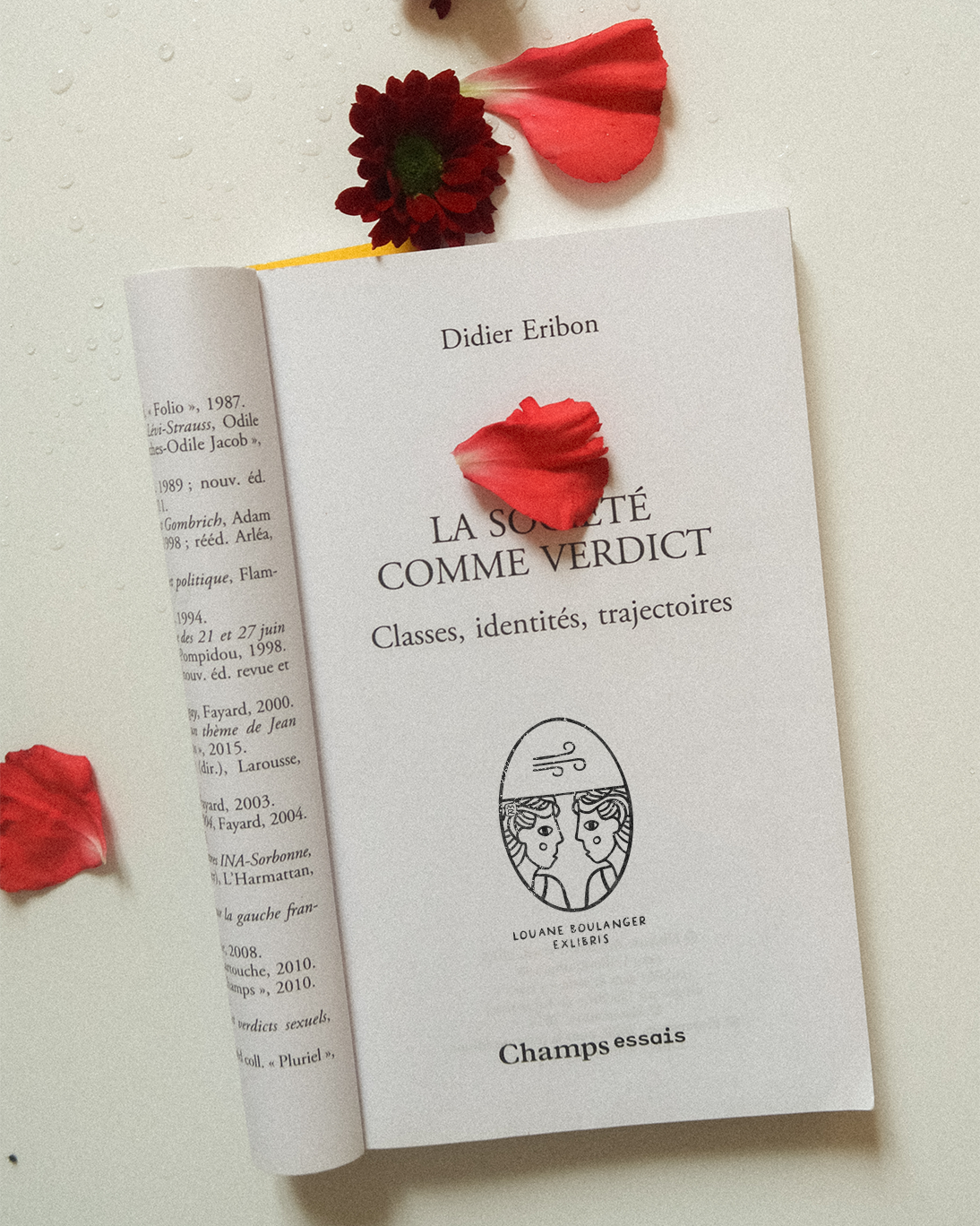 Gémeaux 2025