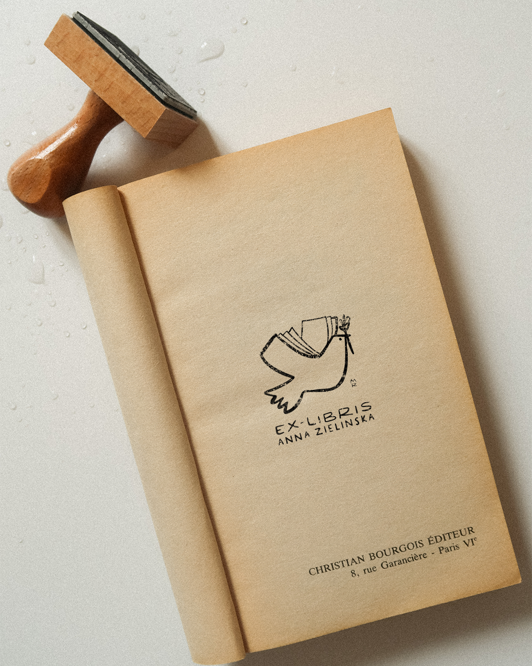 The Bird Book BSF