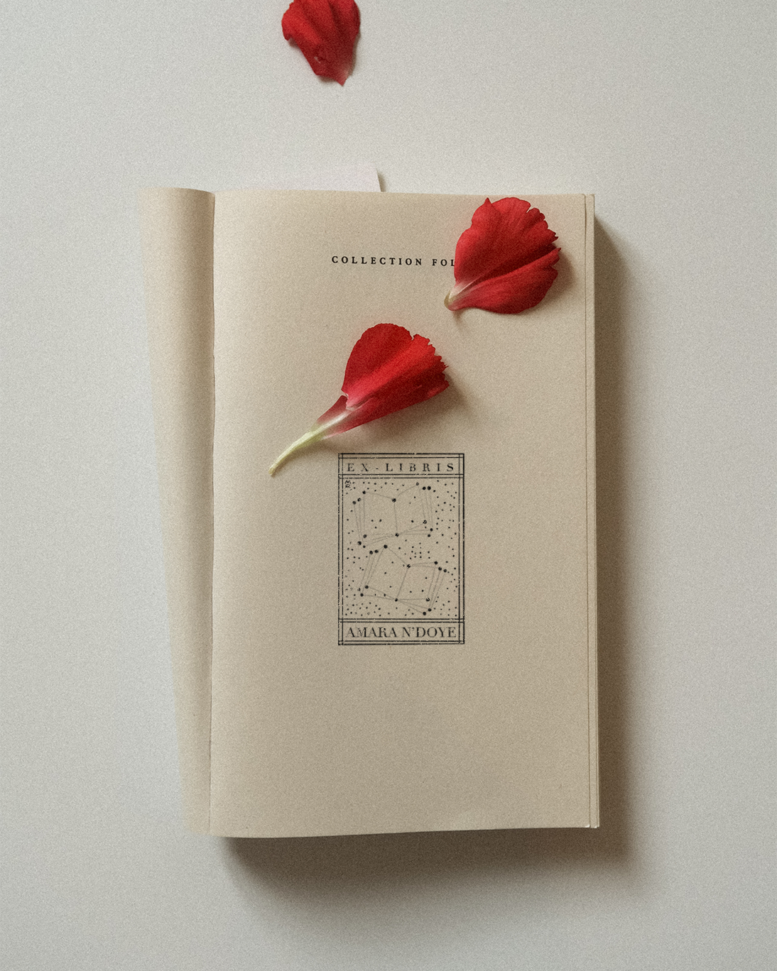 La Constellation du Livre