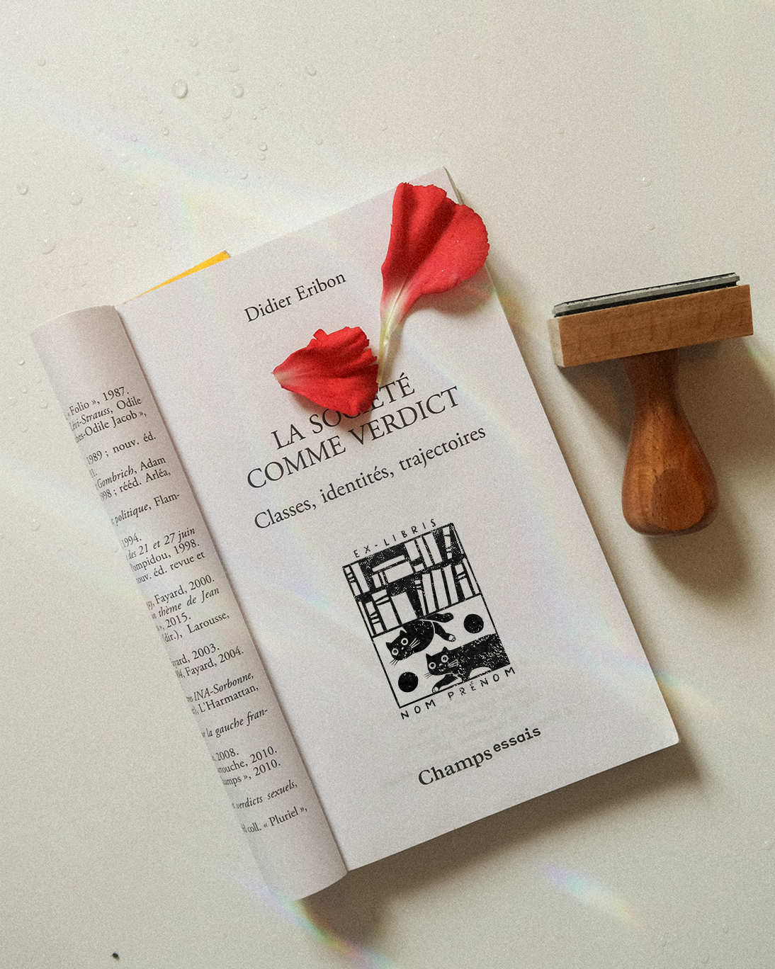 Modulibris (Tome 2)