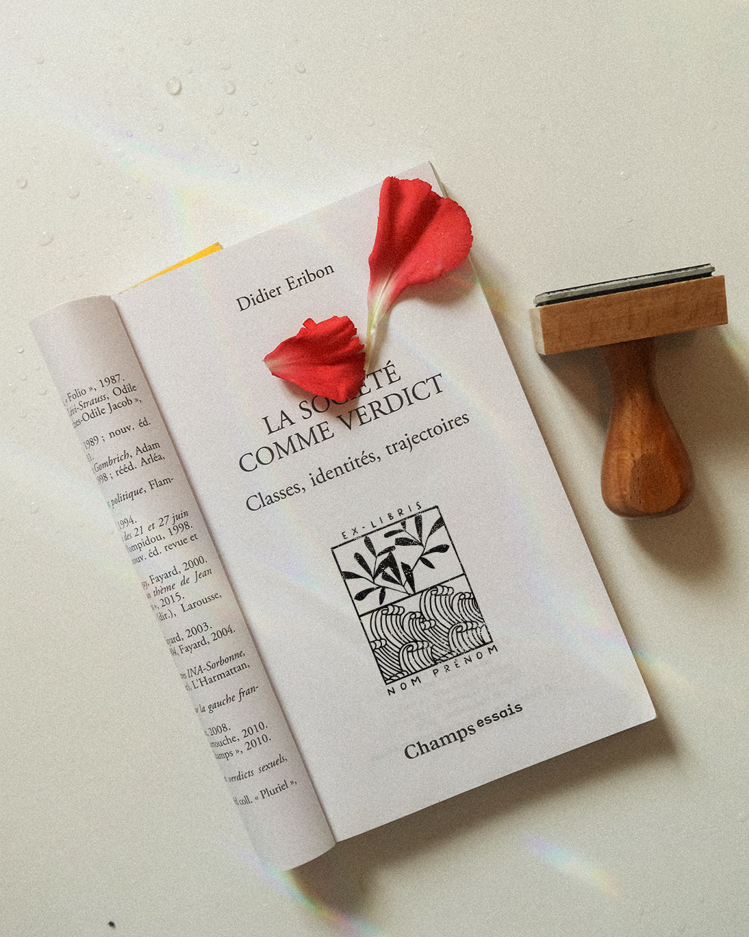 Modulibris (Tome 2)
