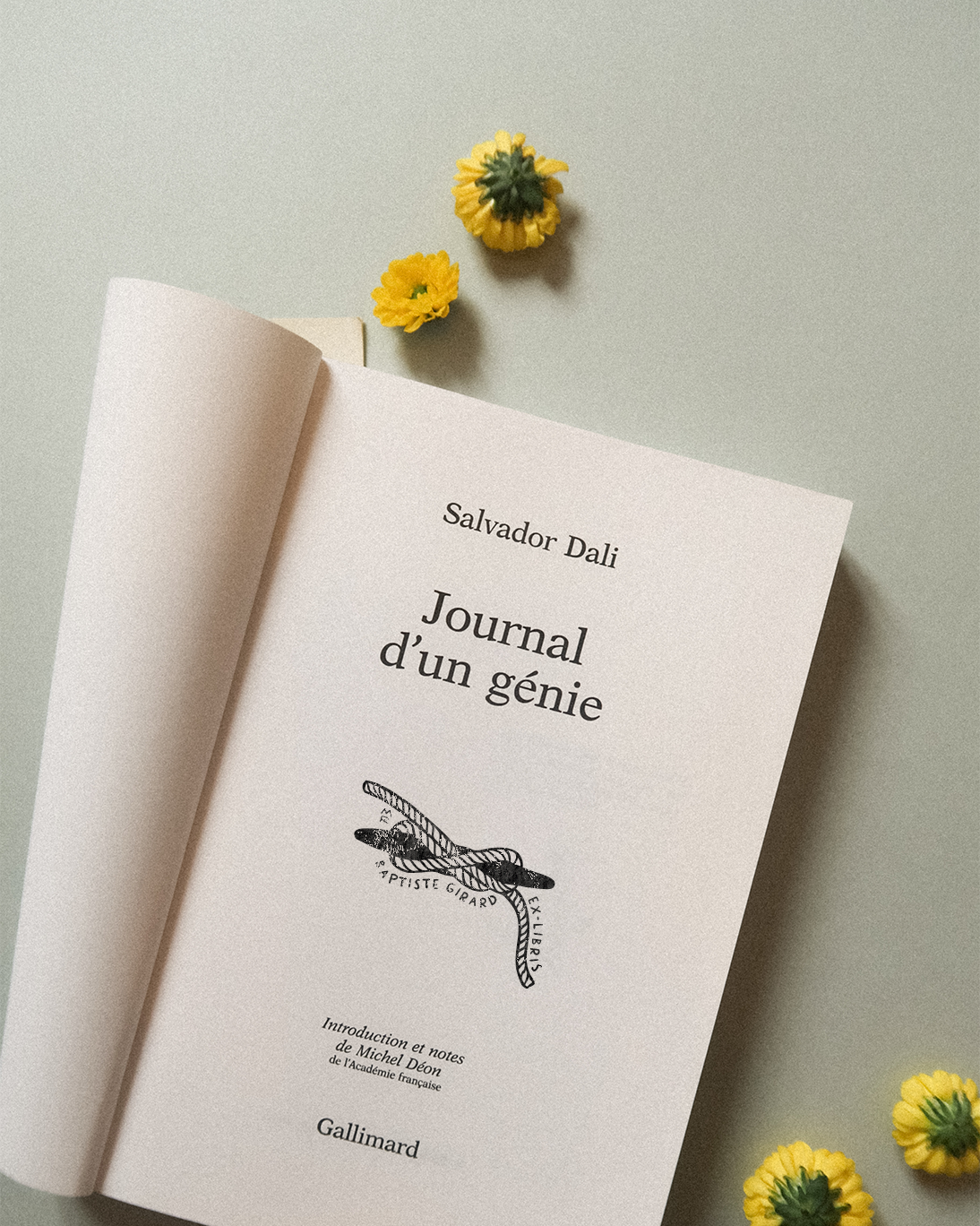 Sans Dérive
