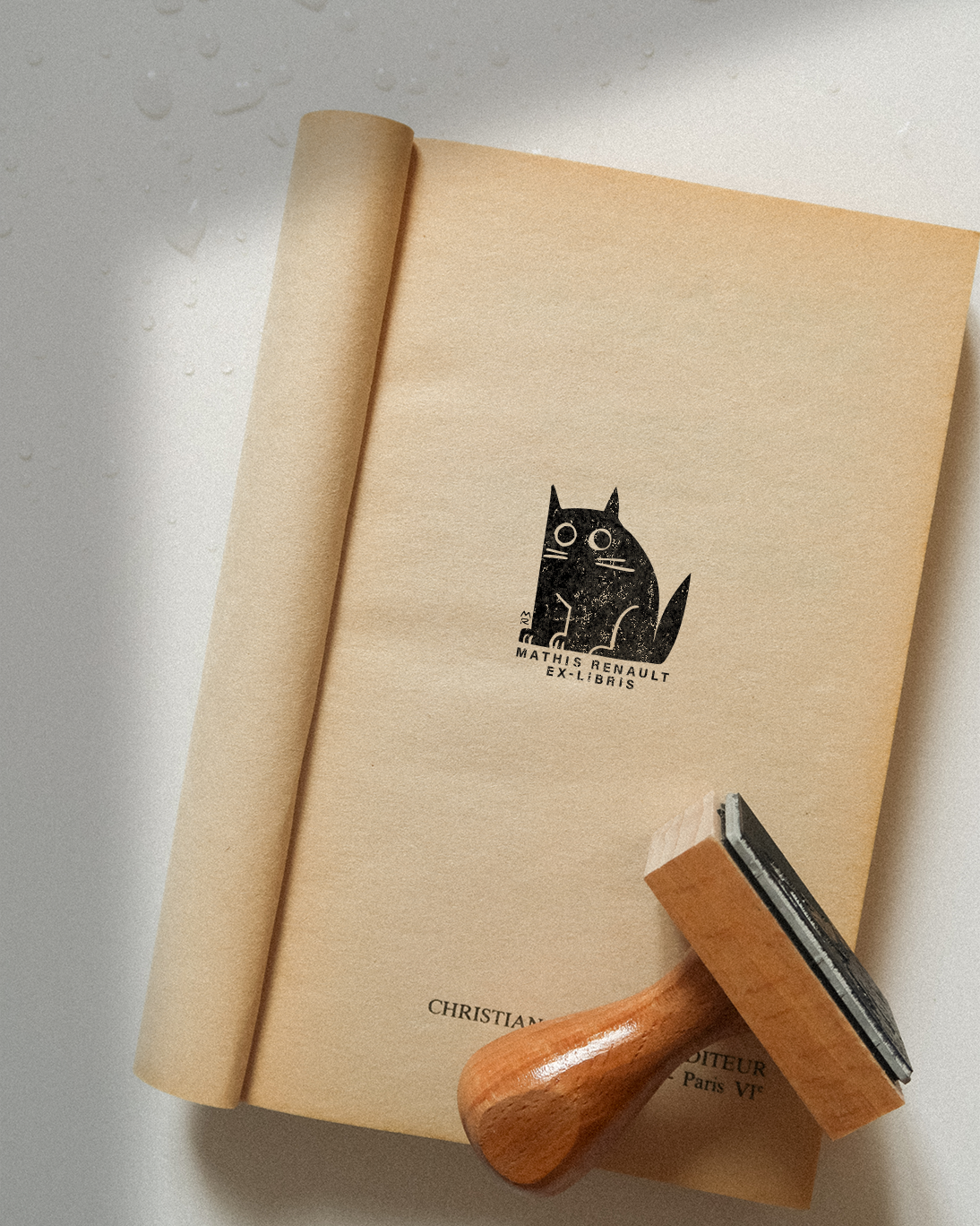 Un Chat Rond et Supris