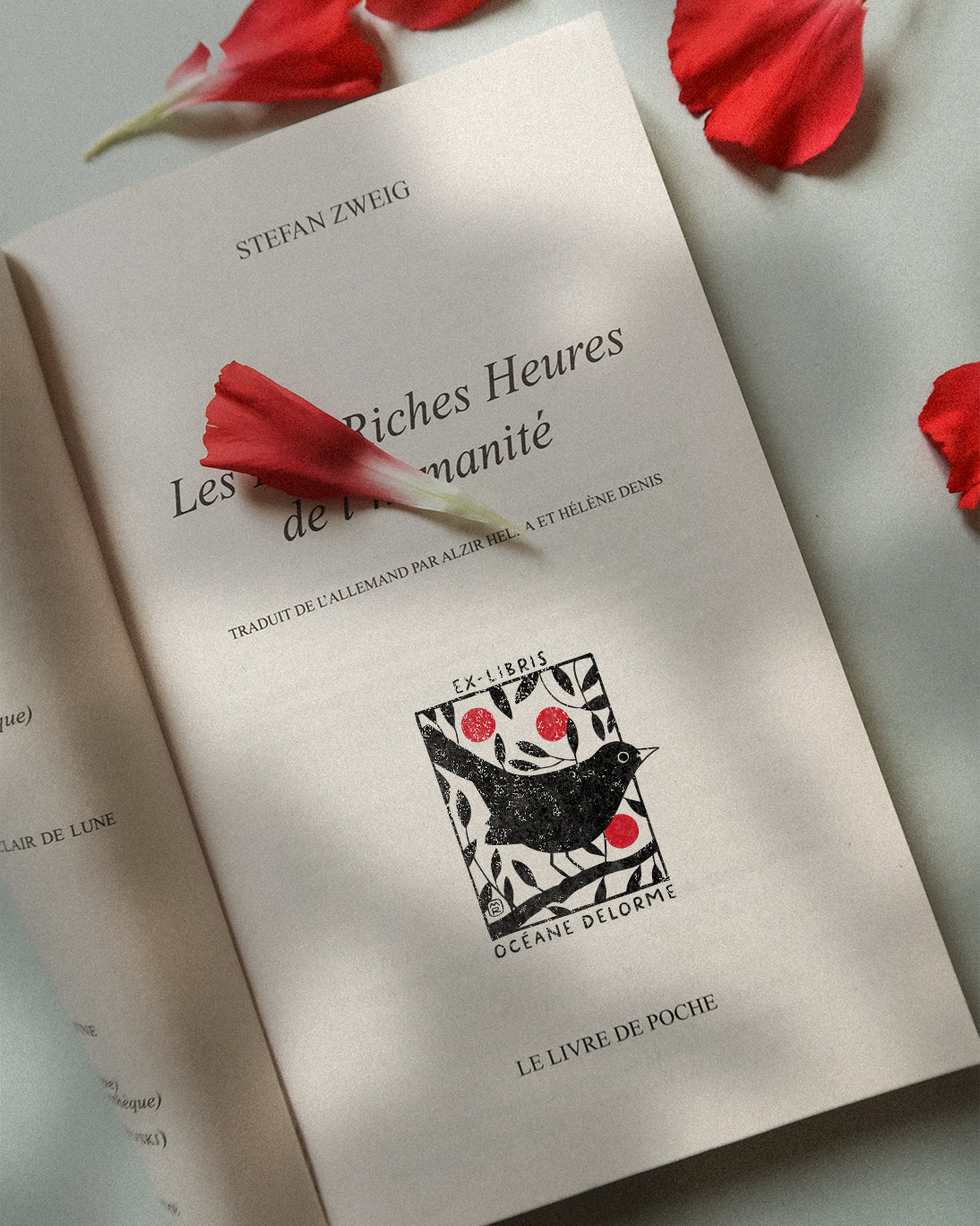 Un Merle et des Cerises