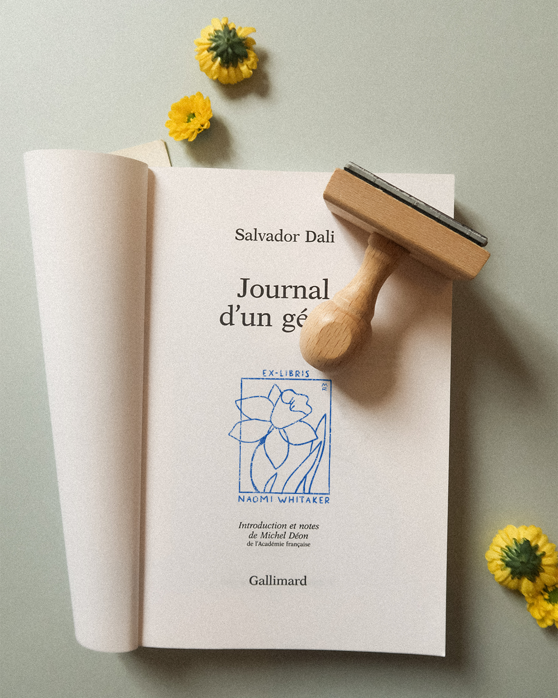 Une Jonquille Bleue