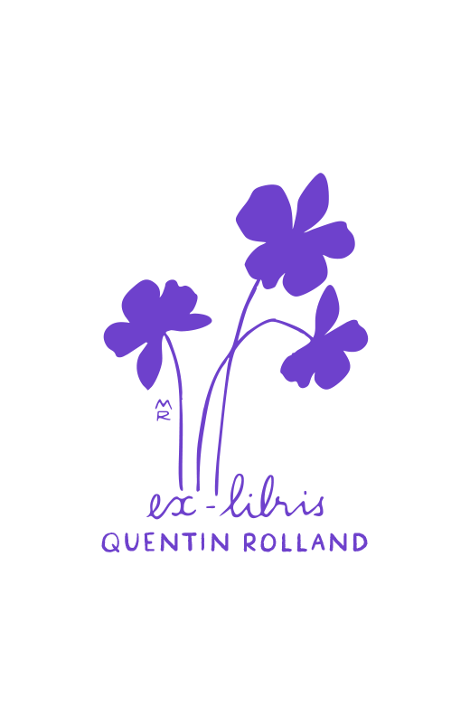 Violettes