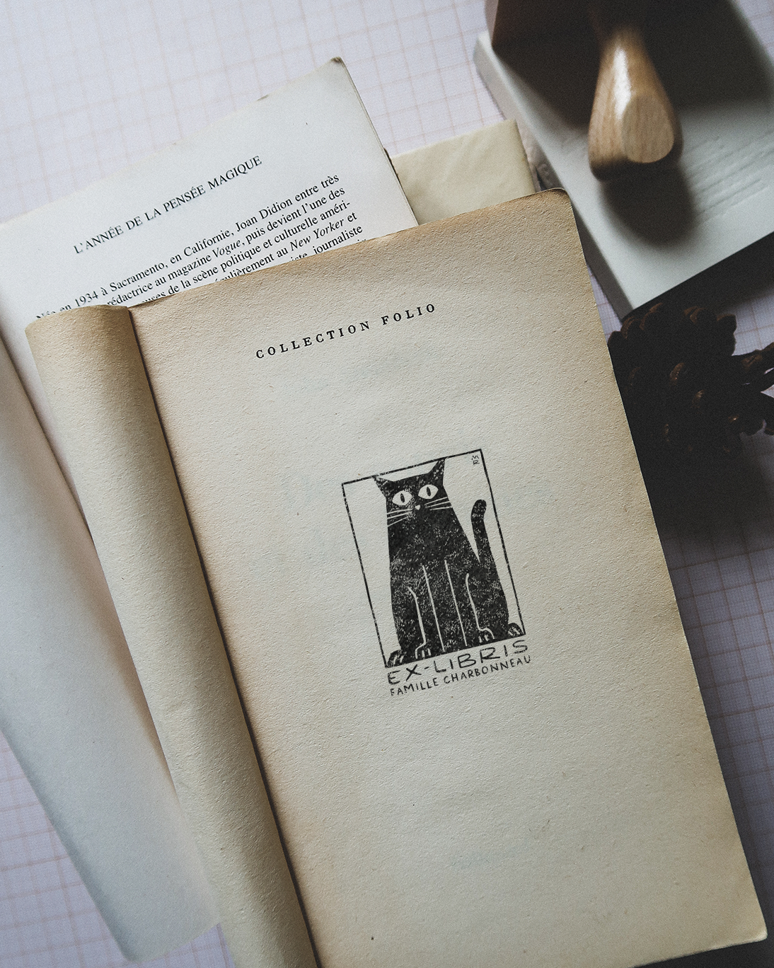 Chat Noir (tome 2)