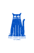 Chat Surpris