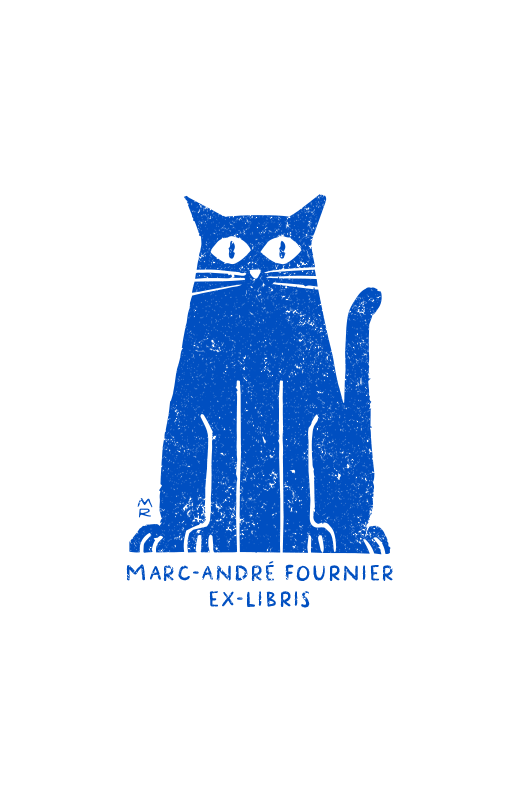 Chat Surpris