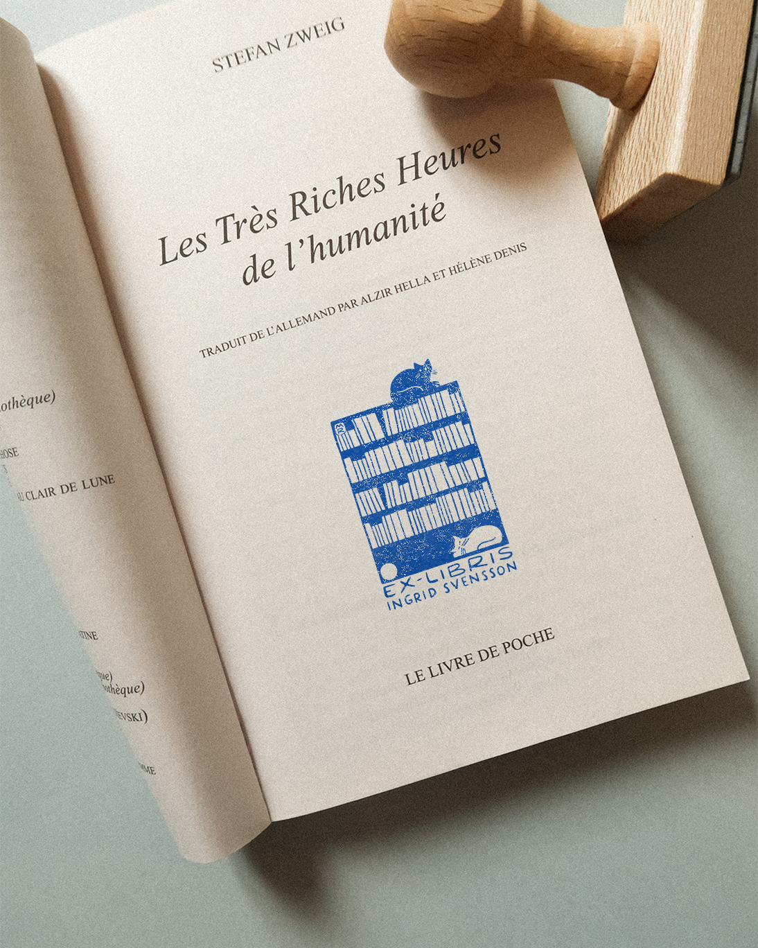 Chats de bibliothèque