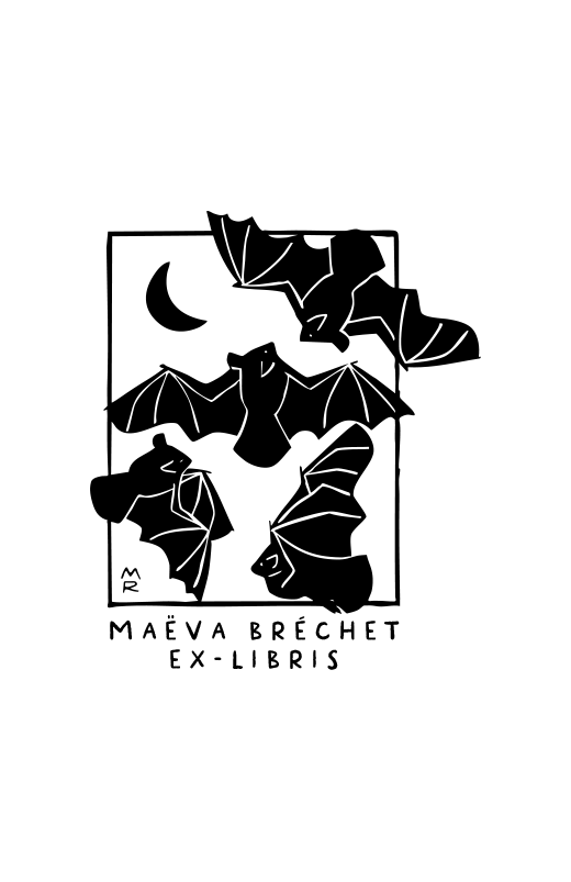 Bats