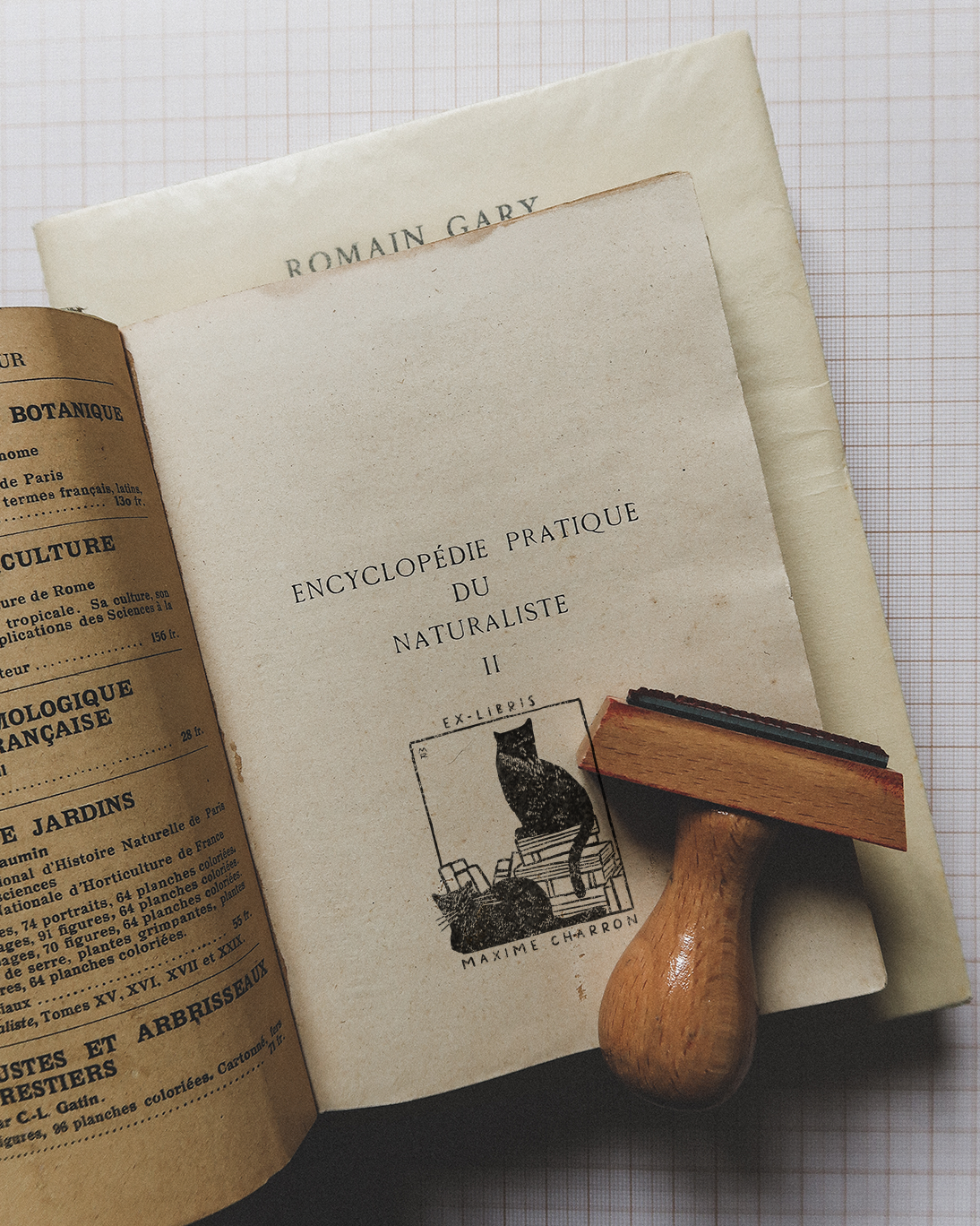 Deux chats et des livres