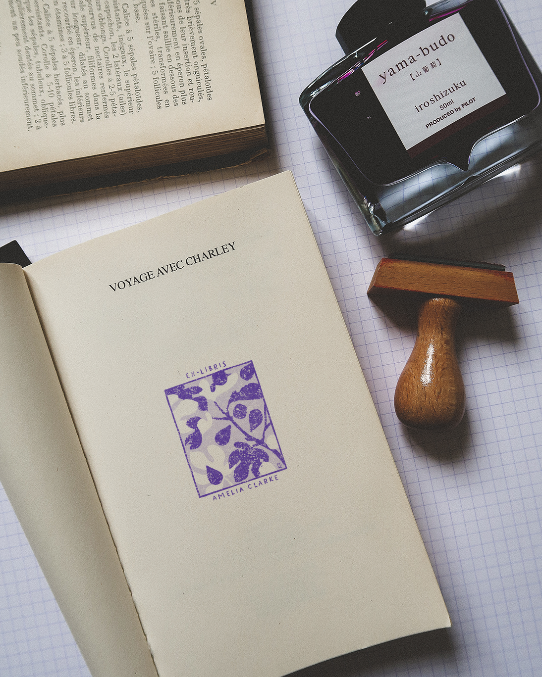 Figues (tome 3)