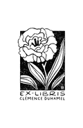 Floribris