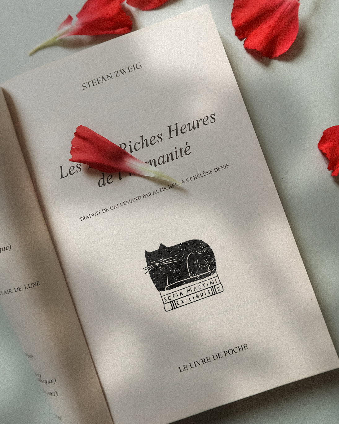 Gros Chat sur Livre