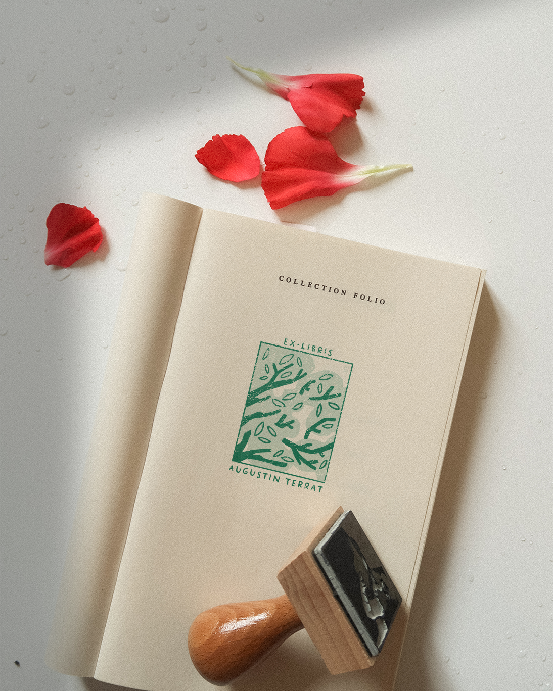 L'Arbre devant la Fenêtre