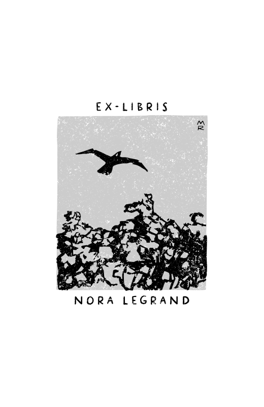 L'ombre de Quentin