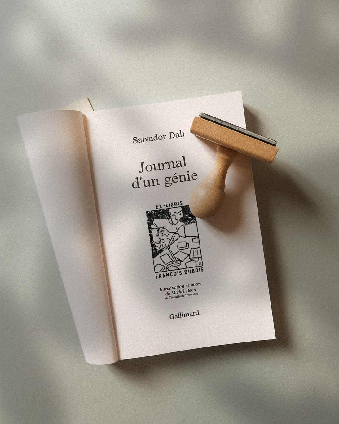 La Journaliste