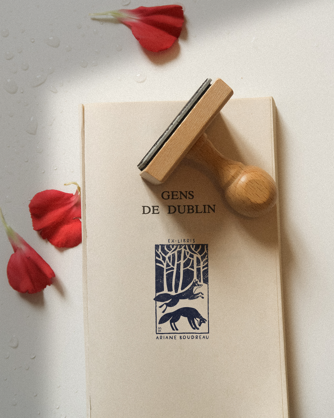 La Nuit tous les Renards sont Gris