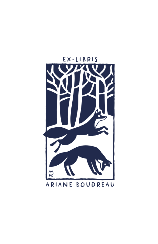 La Nuit tous les Renards sont Gris
