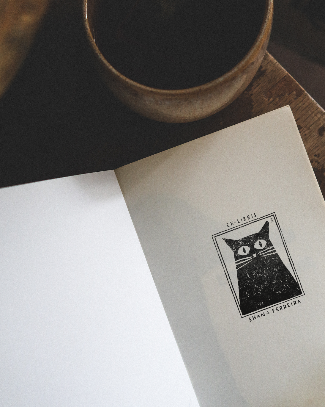 Le Chat après la Bêtise