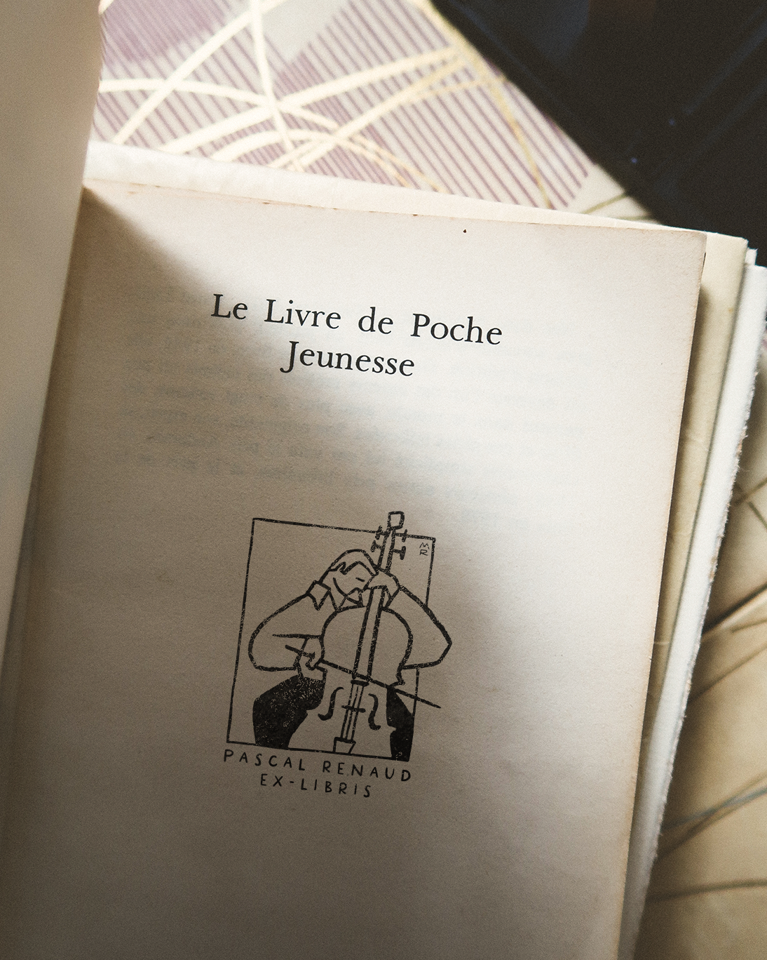 Le Violoncelliste