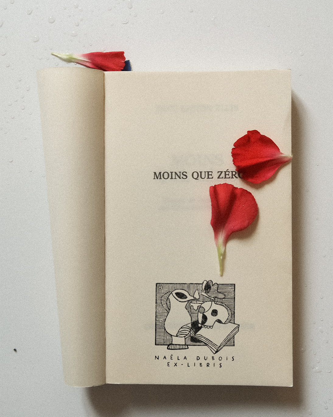 Memento Mori XXII