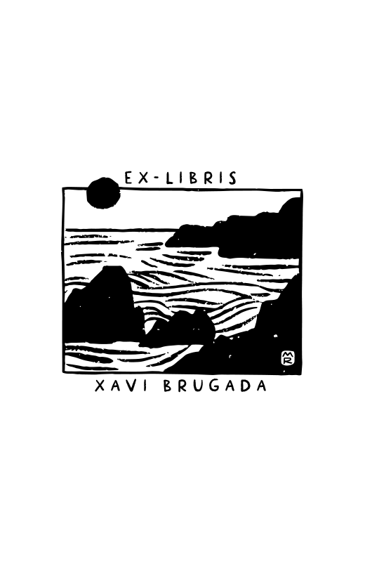 Mer Agitée Suite à la Tempête