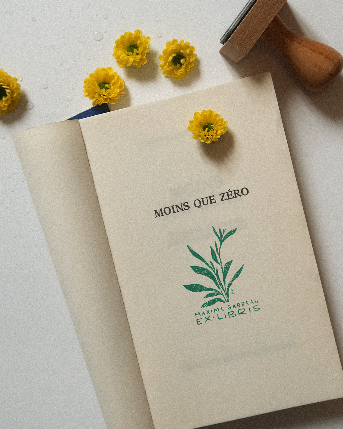 Merveille de la Nature