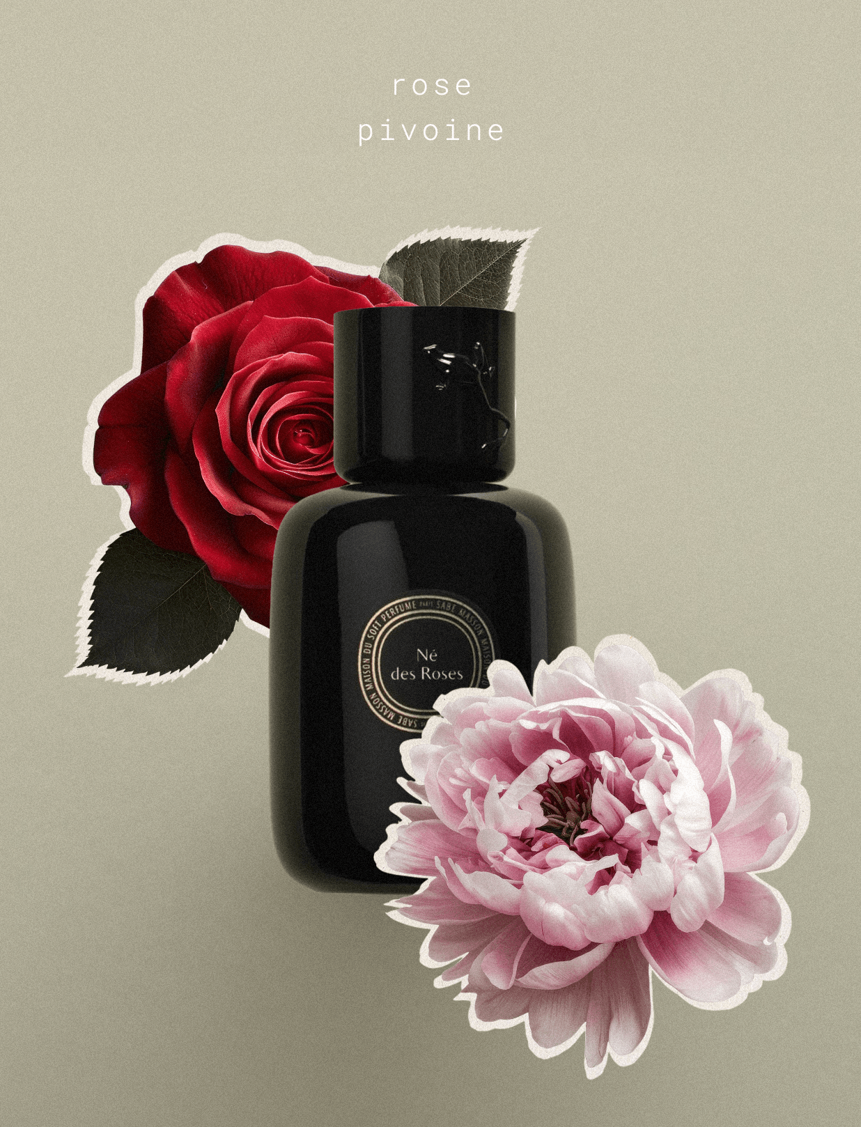 Né des Roses