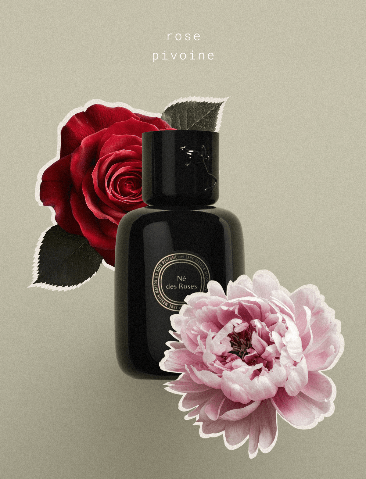 Né des Roses