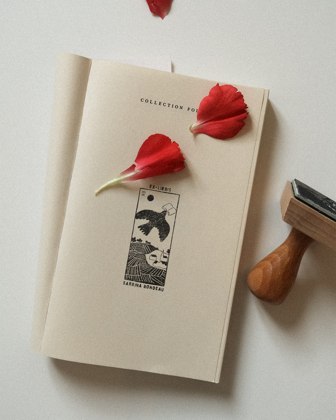 Oiseau au Dessus de la Campagne