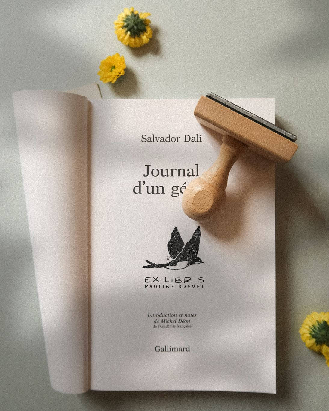 Oiseau de Printemps
