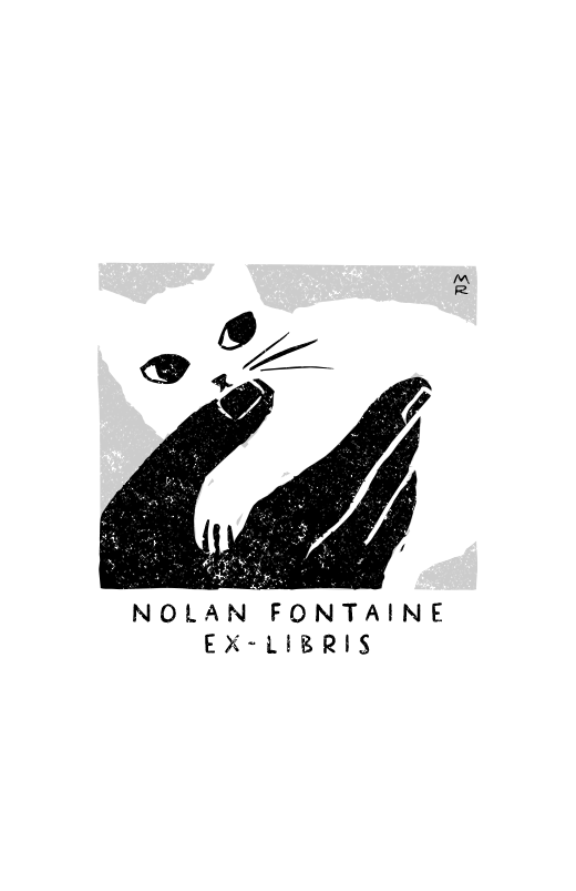 Petit chat