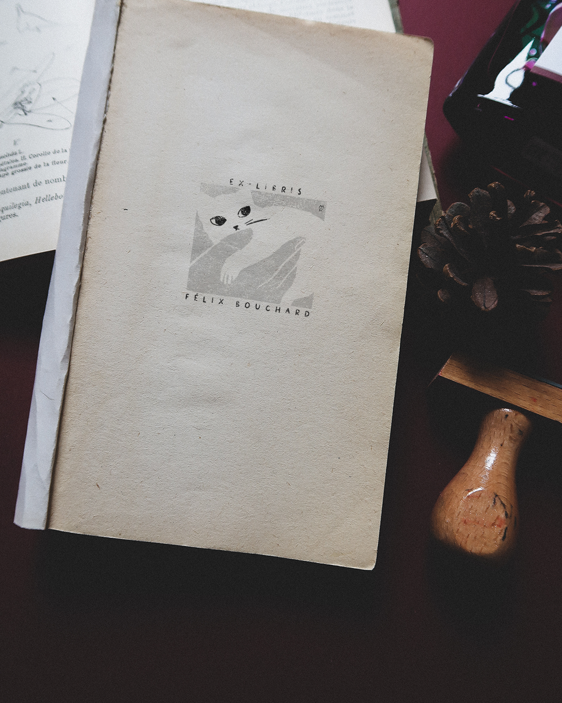 Petit chat (tome 2)