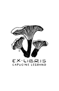 Pleurotes