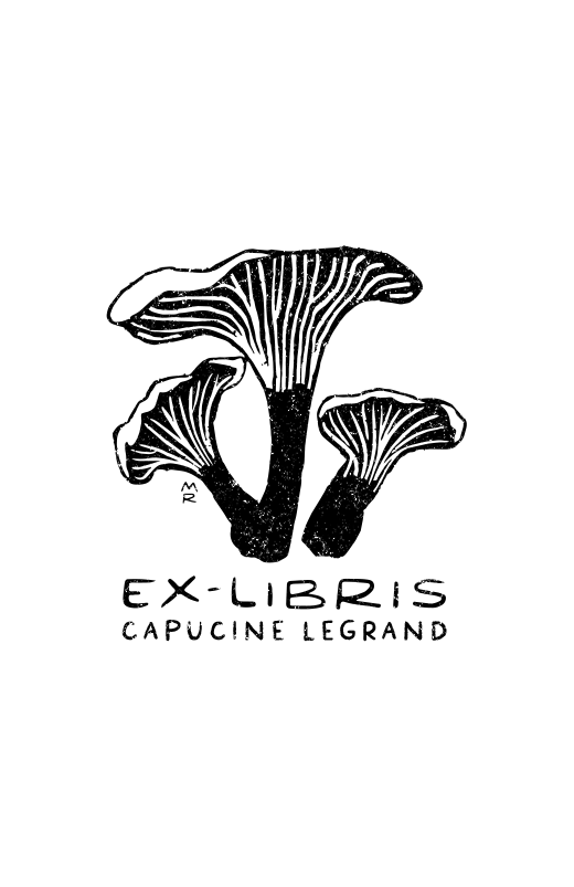 Pleurotes