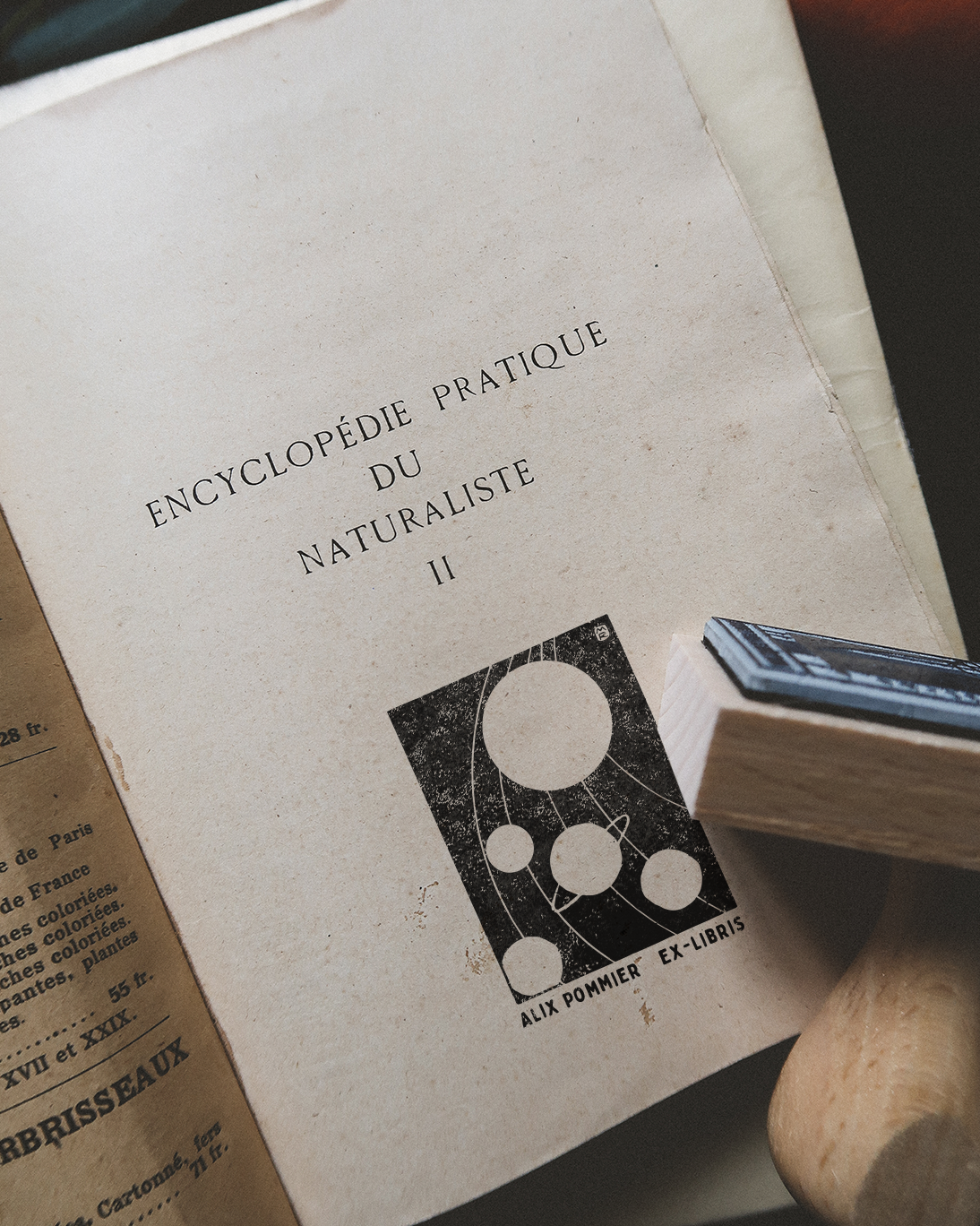 Révolution (tome 2)