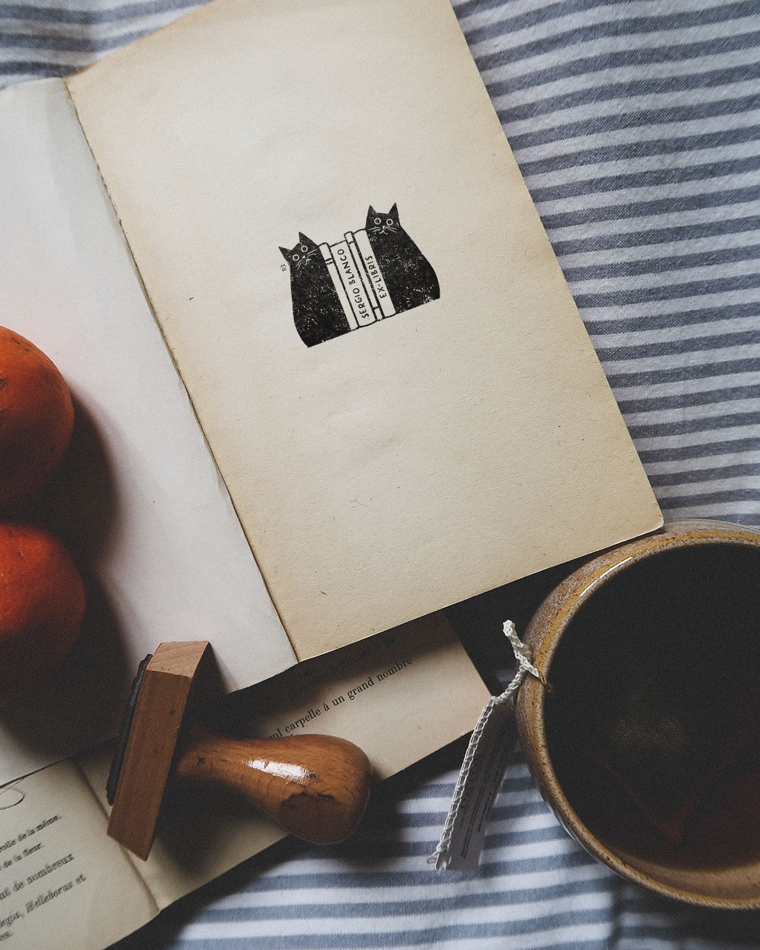 Serre-Livres (tome 2)