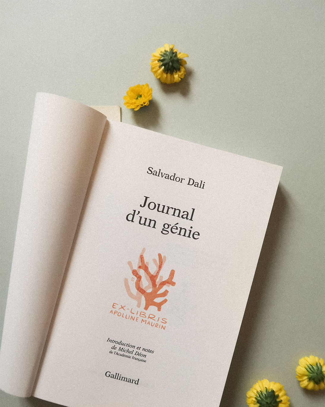 Un Corail, Des Coraux