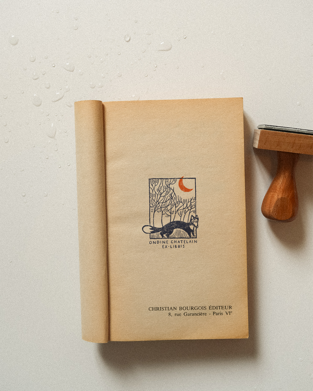 Un Renard sous la Lune