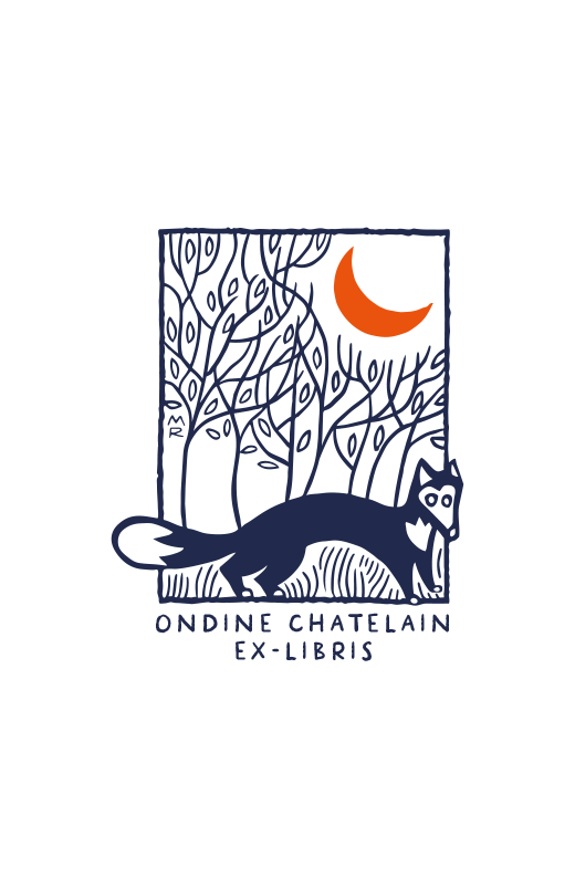Un Renard sous la Lune