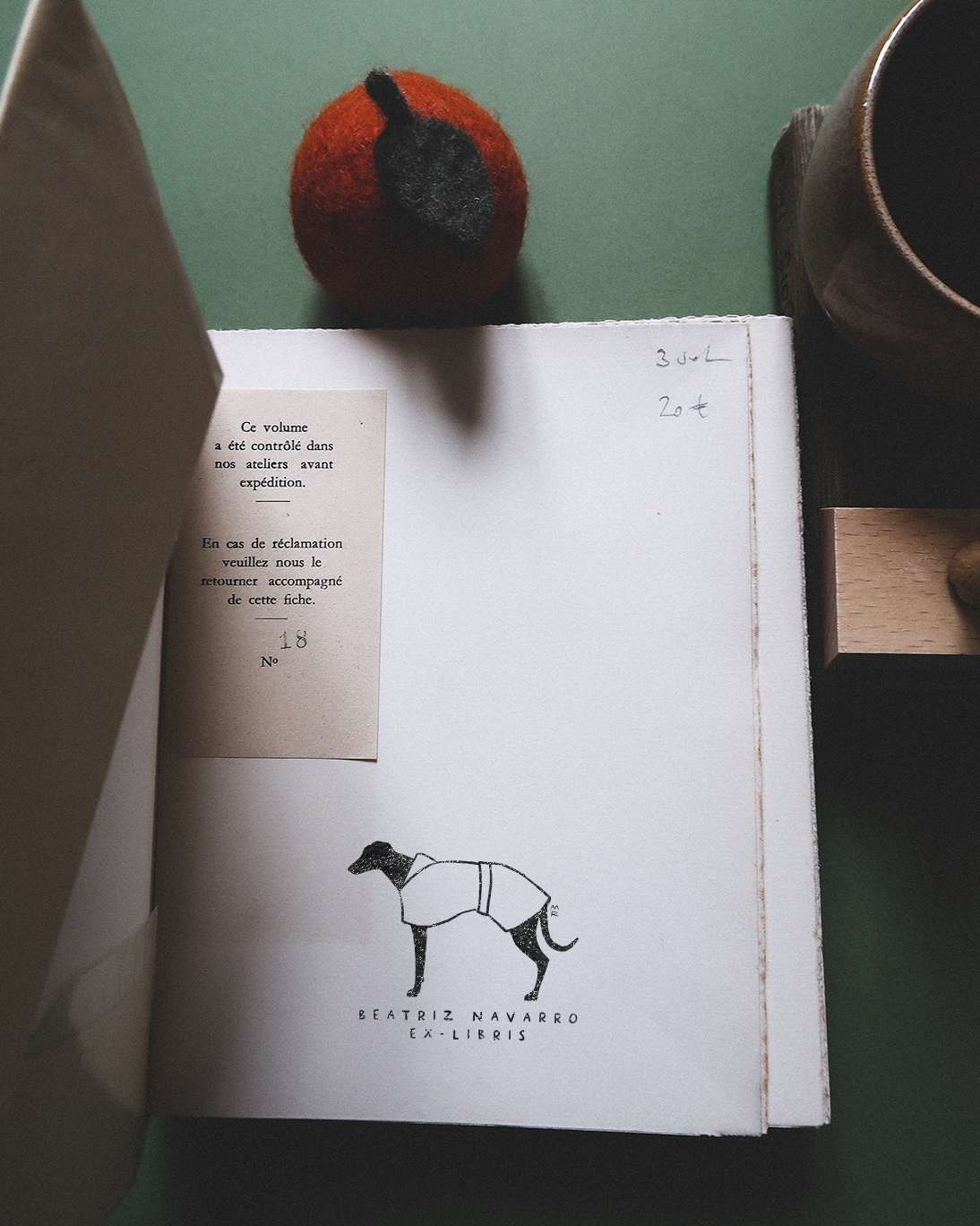 Un Whippet en Hiver