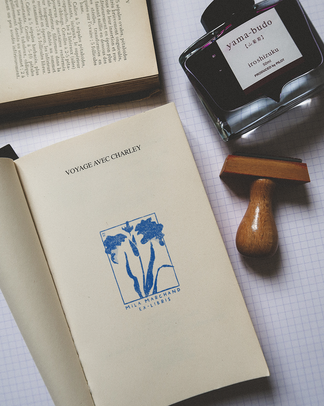 Végétalis (tome 2)