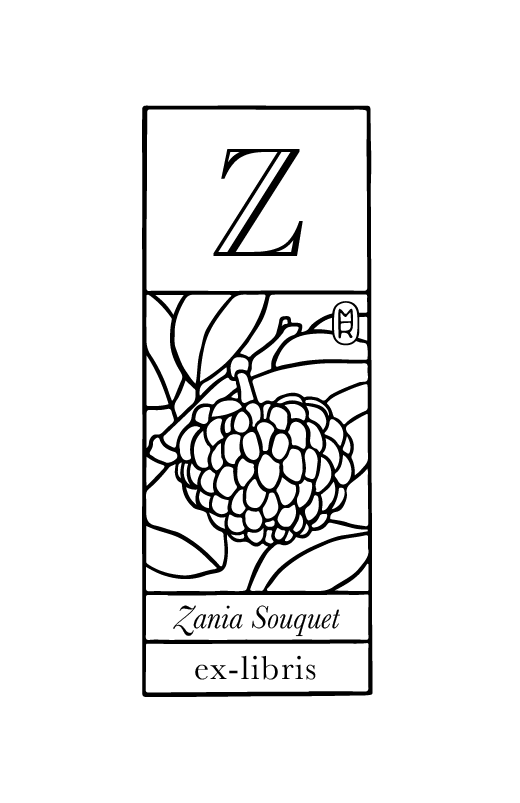 Z comme Zatte